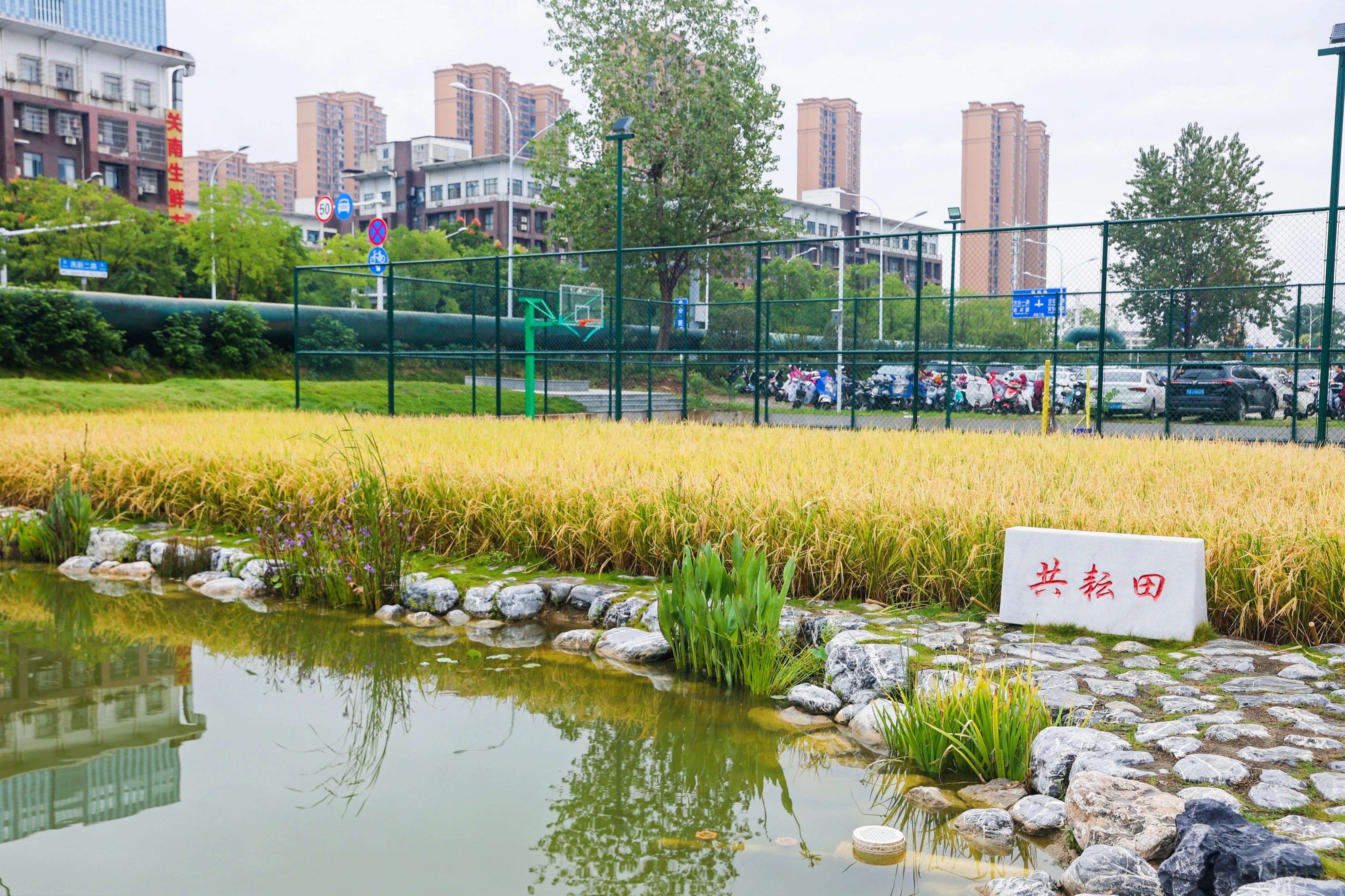 1746600539941774.jpg 1746600539941774.jpg